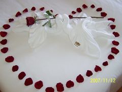 -三亚亚龙湾金棕榈度假酒店