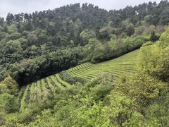 -敬亭山风景名胜区