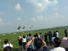 -盐城丹顶鹤湿地生态旅游区
