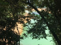-广州市流溪河国家森林公园