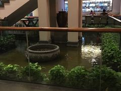 -旺顺阁鱼头泡饼(小红门店)