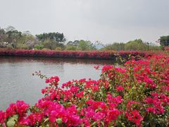 -广州莲花山旅游区