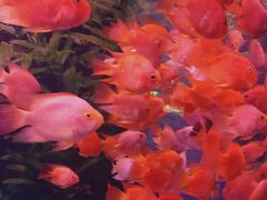 -常州海昌海洋探索馆