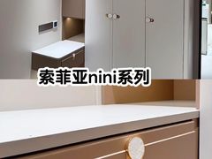 -索菲亚全屋定制衣柜橱柜家具(通州运乔居然之家店)