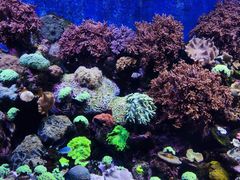 -珠海长隆海洋王国