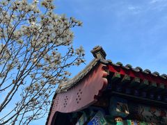 -西海子公园