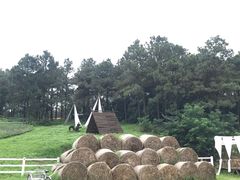 -大塘金香草谷