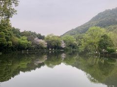 -八卦田遗址公园