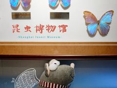 -上海昆虫博物馆