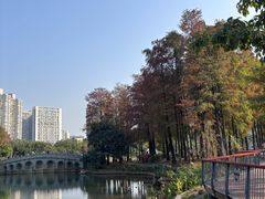 -四海公园(南山区)