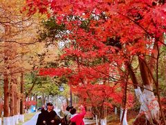 -敬亭山风景名胜区