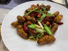 炒蝉蛹-南山鲜虾面·活鲜小馆·海味大连菜(南山总店)