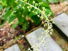 -苍龙峡风景区