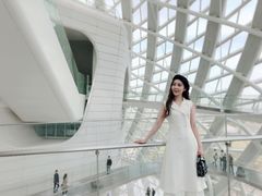 -凤凰中心