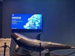 -重庆欢乐海底世界