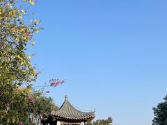 -海珠湖公园