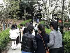 -武汉大学-樱园