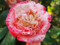 -华南国家植物园-售票处