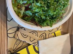 -油梨树 AVOCADO TREE(亮马桥店)