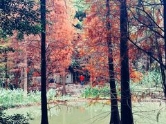 -云溪植物园