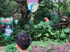 -广州长隆飞鸟乐园
