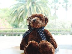 -济州岛泰迪熊博物馆