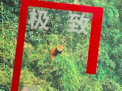 -凤凰国际书城(凤凰广场店)