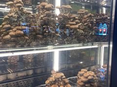 -大头椰·椰子鸡火锅(南宁万象城店)