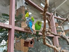 -南宫五洲植物乐园