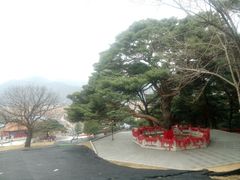 -延吉东来寺