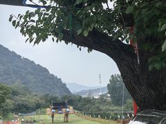 -吉姆冒险世界(蓟州店)