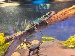 -Zoolung Zoolung动物主题公园(海信广场店)