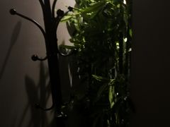 -泰享受·泰式按摩·SPA(海珠琶洲新村店)