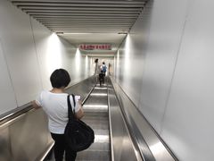 -东方体育中心(地铁站)