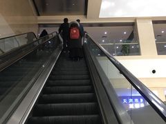 -天津医科大学肿瘤医院(本部院区)