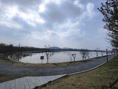 -羊山湖公园