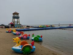 -碧海金沙