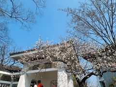 -无锡梅园公园