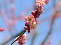 -花开海上生态园