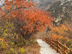 -黑龙潭风景区
