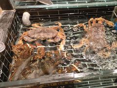 -衢农会·衢州菜·宴请(国际机场店)