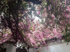 -深圳国际园林花卉博览园