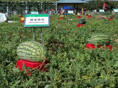 -长春农博园