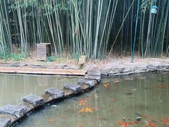 -竹泉村旅游度假区