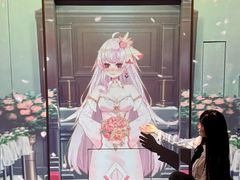 -永夜方舟·捉迷藏·二次元密室