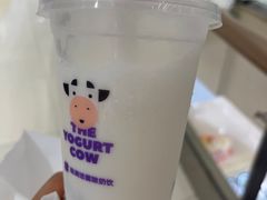 冻冻桂花酒酿酸奶-一只酸奶牛(曲江龙湖星悦荟店)