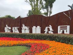 -上海滨江森林公园