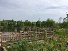 -上海长兴岛郊野公园