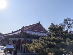 -北陵公园