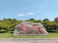 -塘沽森林公园
